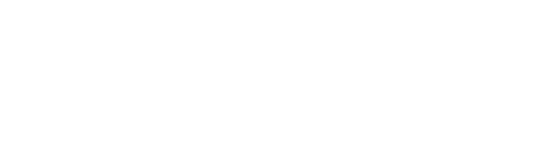 logo wizzup